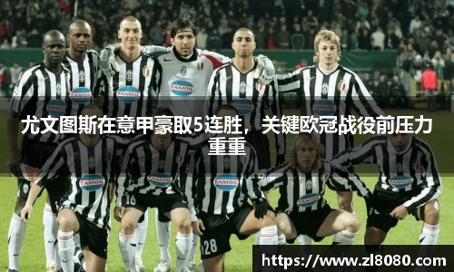 3377体育官网入口