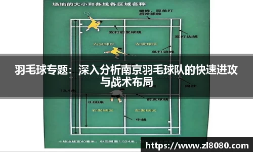 3377体育