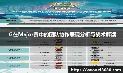 3377体育官网入口