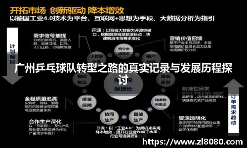 3377体育官网登录