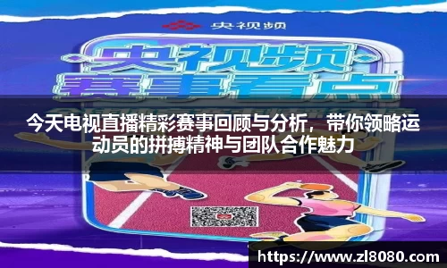 3377体育官网入口