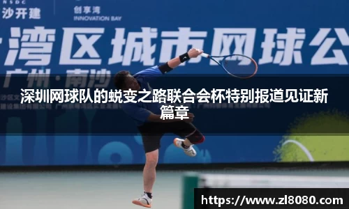 3377体育官网入口