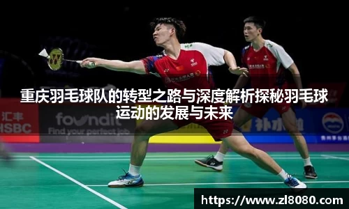 3377体育官网入口