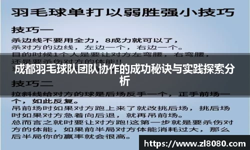 3377体育平台