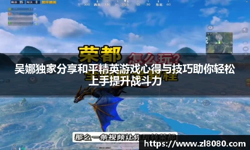 3377体育官网入口