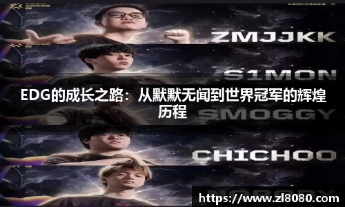 3377体育官网入口