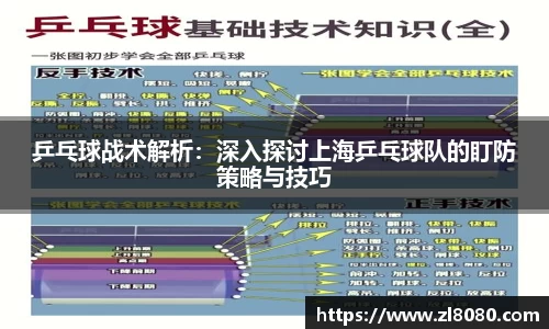 3377体育官网登录