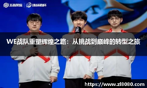 3377体育官网登录