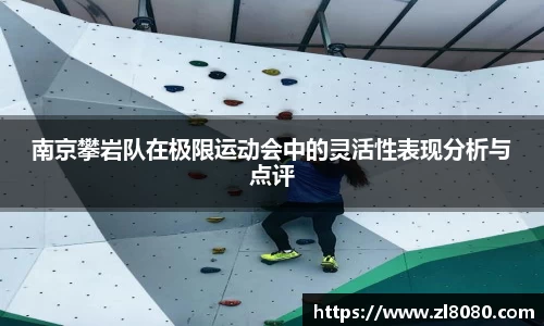 3377体育官网登录