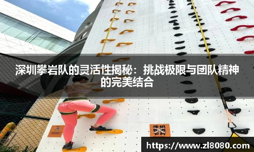 3377体育官网入口