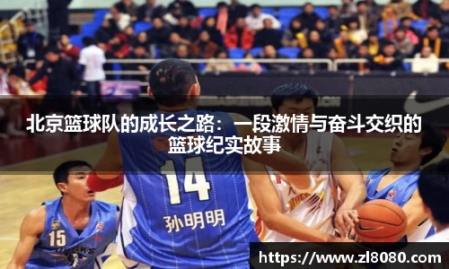 3377体育官网入口