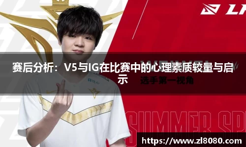 3377体育官网入口