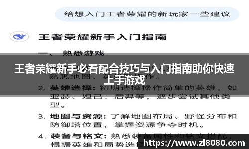 3377体育官网入口