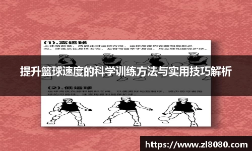 3377体育官网入口