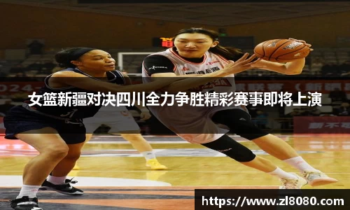 3377体育官网入口