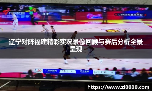 3377体育官网登录