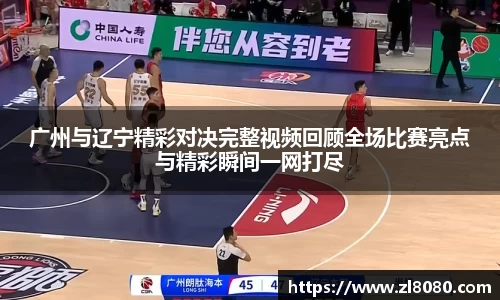 3377体育官网入口
